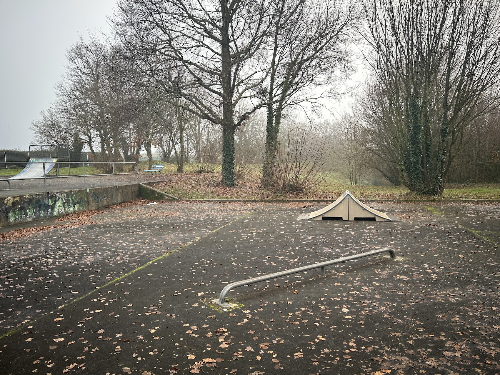 Tonnay-Charente skatepark